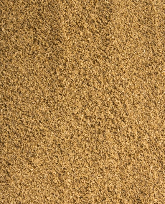 Coriander Powder